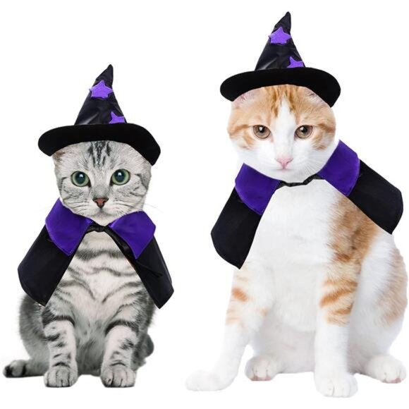 Dxhycc Halloween Pet Costume Cat Wizard Costume Funny Wizard Cat Clothes Cloak - Picture 6 of 8